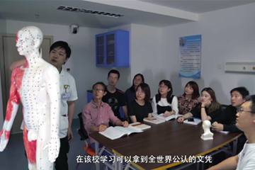 东方医学 03 走向世界的中医